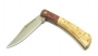 csvColtello_Fox_1581_radica_piccolo_